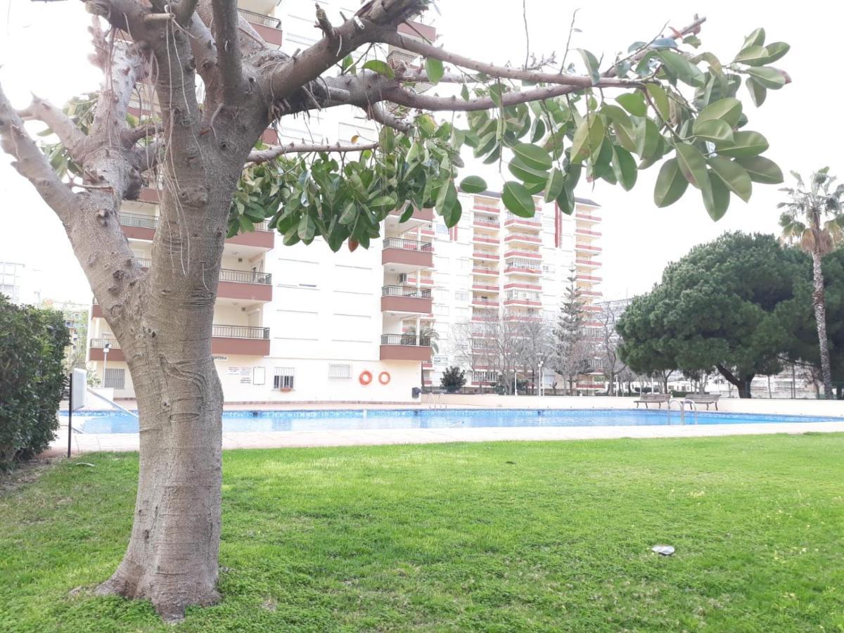 Valldigna 7 Playa De Gandia Solo Familias Exteriér fotografie